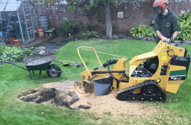 diy stump removal