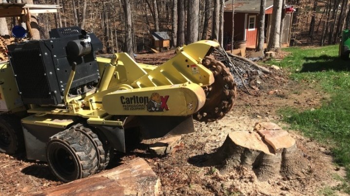 stump grinding