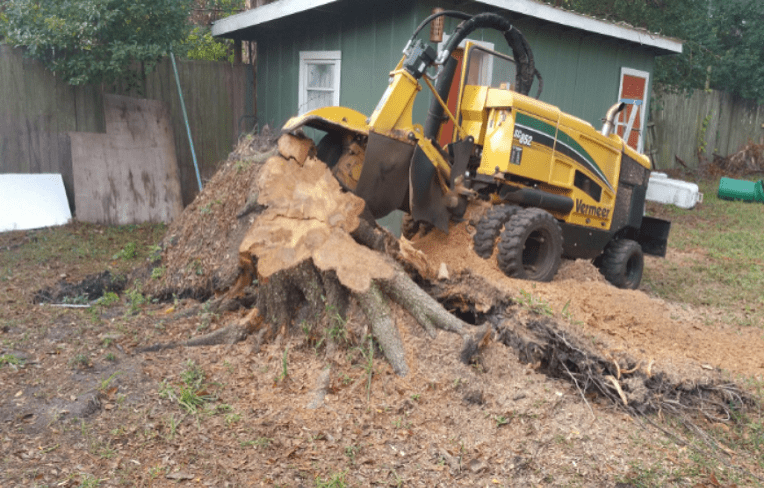 stump removal